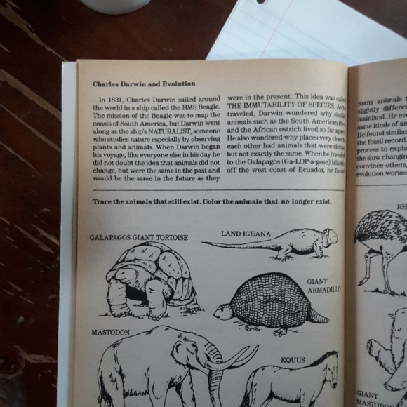 Prehistoric Animals Activity Book | homeschool - Picture 4 of 5